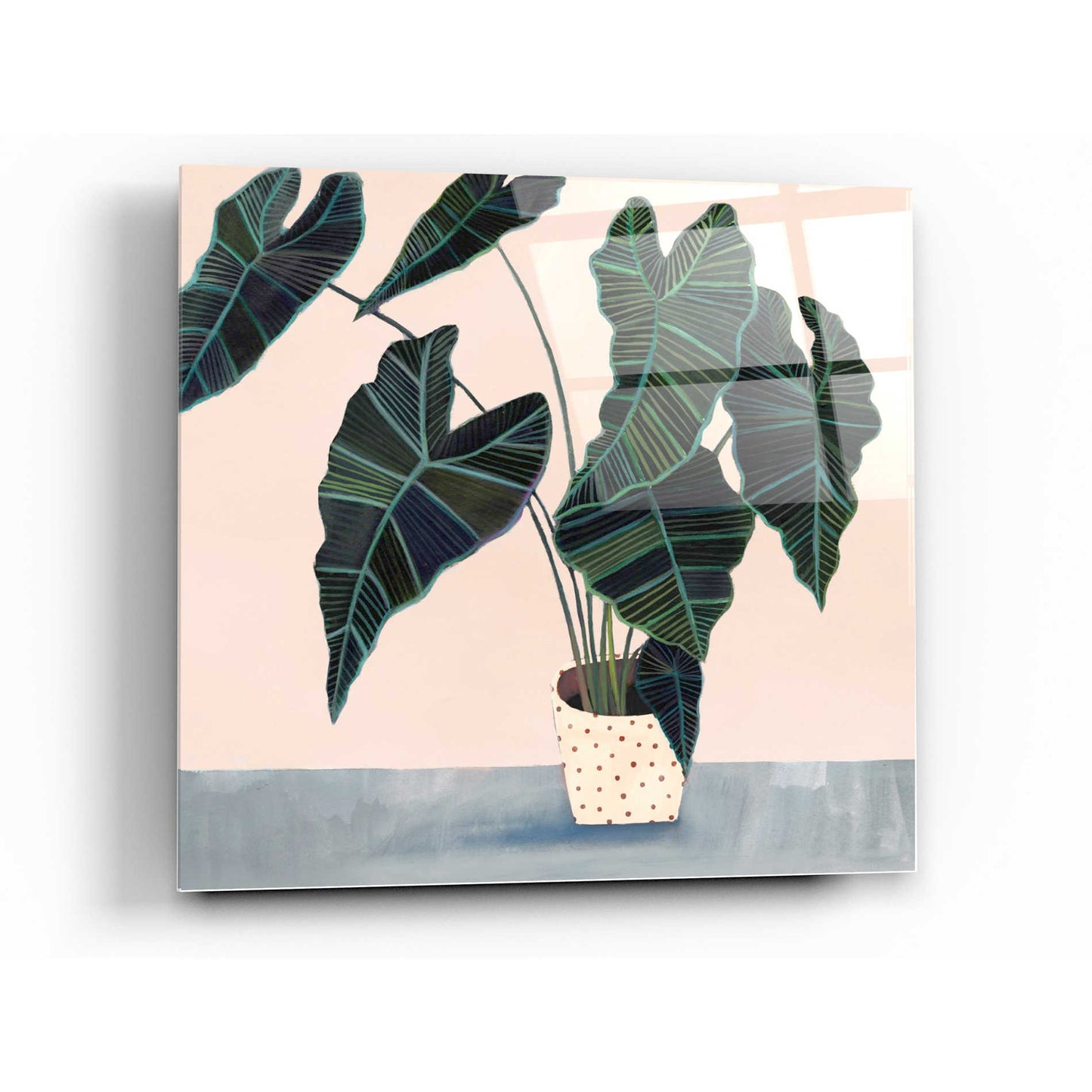 Epic Art 'Houseplant II' by Victoria Borges Acrylic Glass Wall Art,24x24