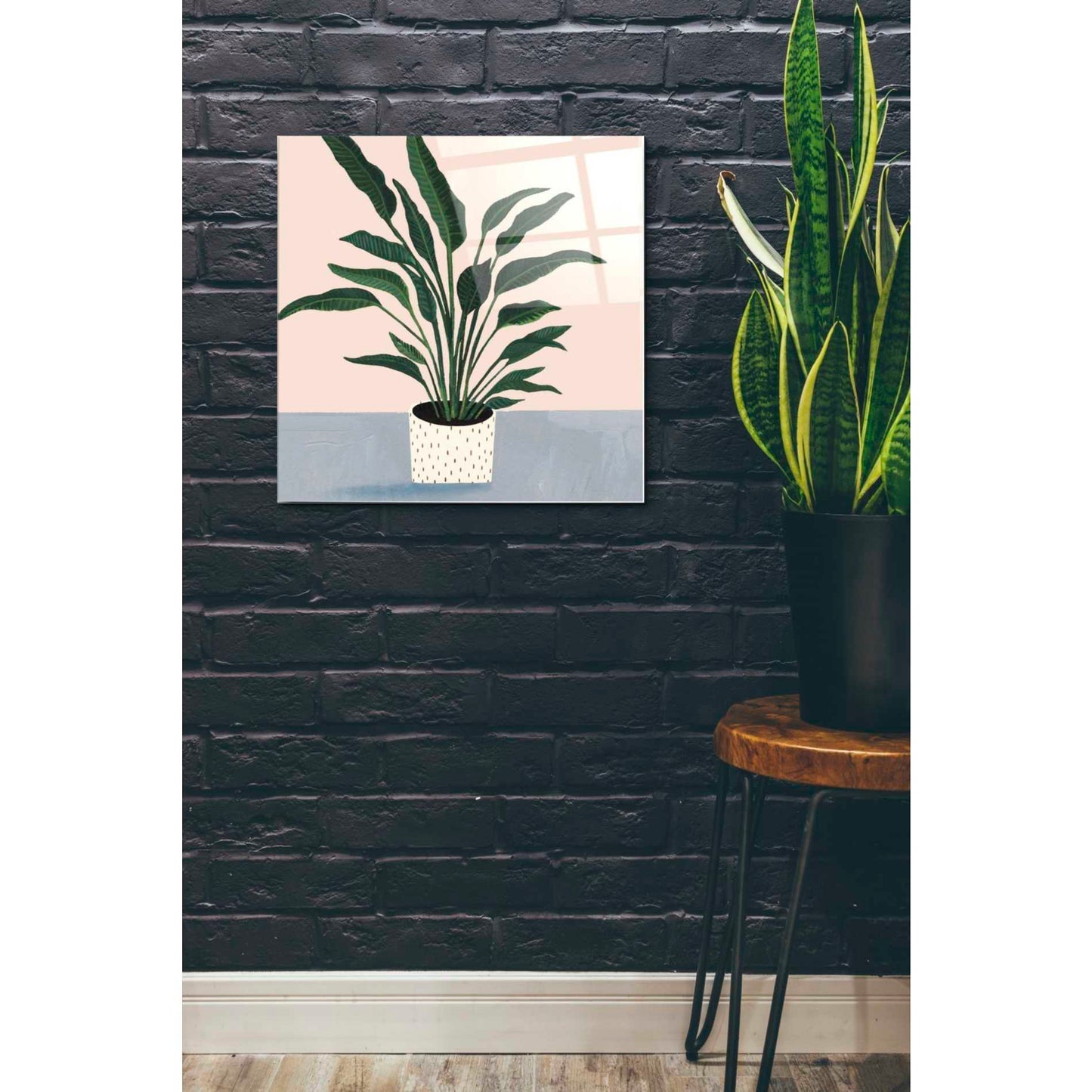 Epic Art 'Houseplant IV' by Victoria Borges Acrylic Glass Wall Art,24x24