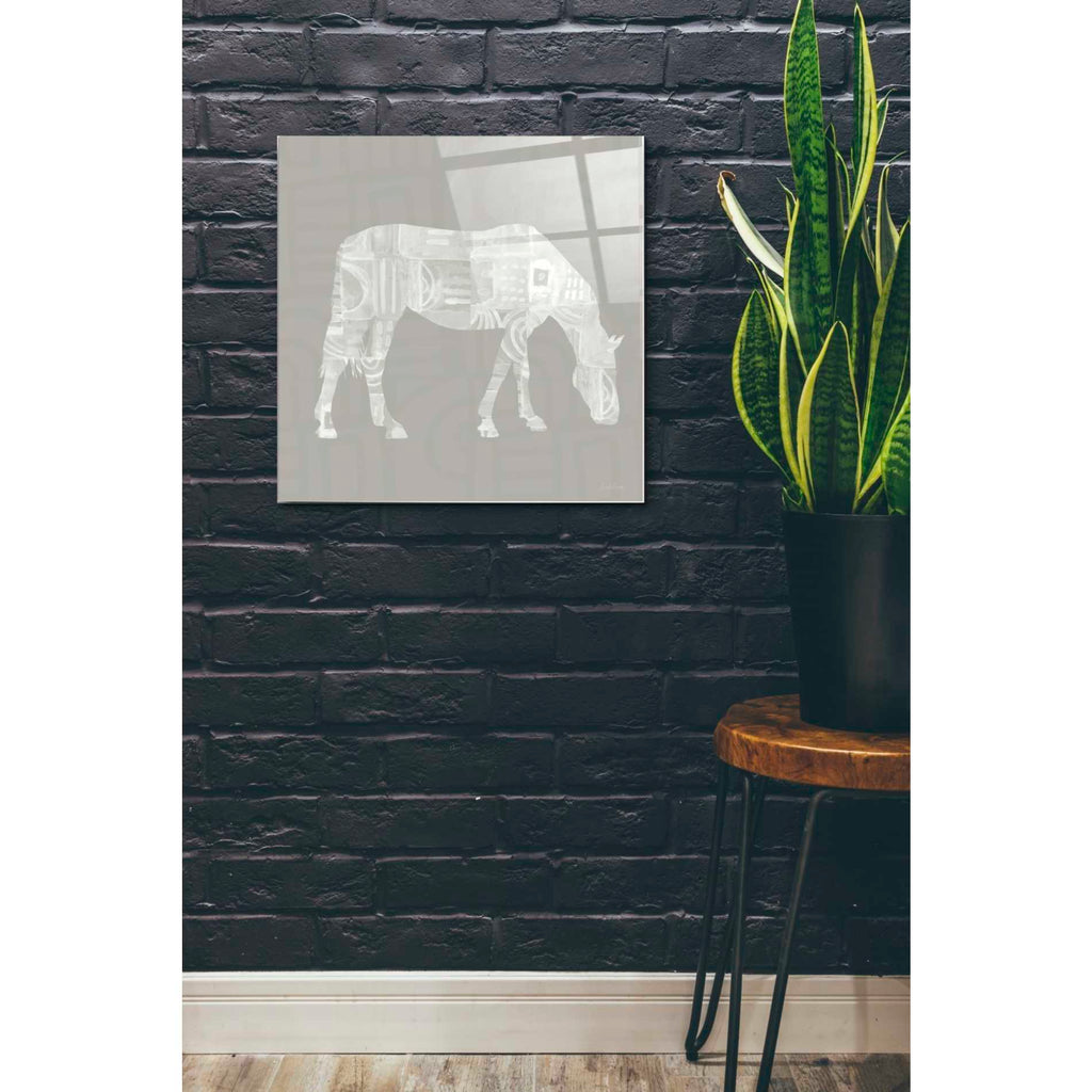 Epic Art 'Modern Farm Horse II' by Linda Woods, Acrylic Glass Wall Art,24x24