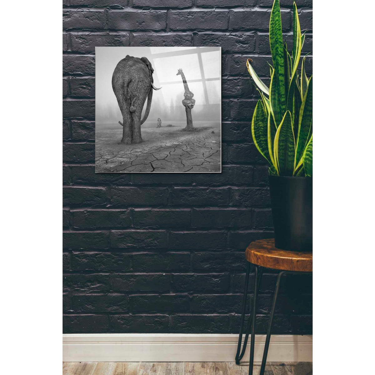 Epic Art 'Animalia' by Dariusz Klimczak, Acrylic Glass Wall Art,24x24