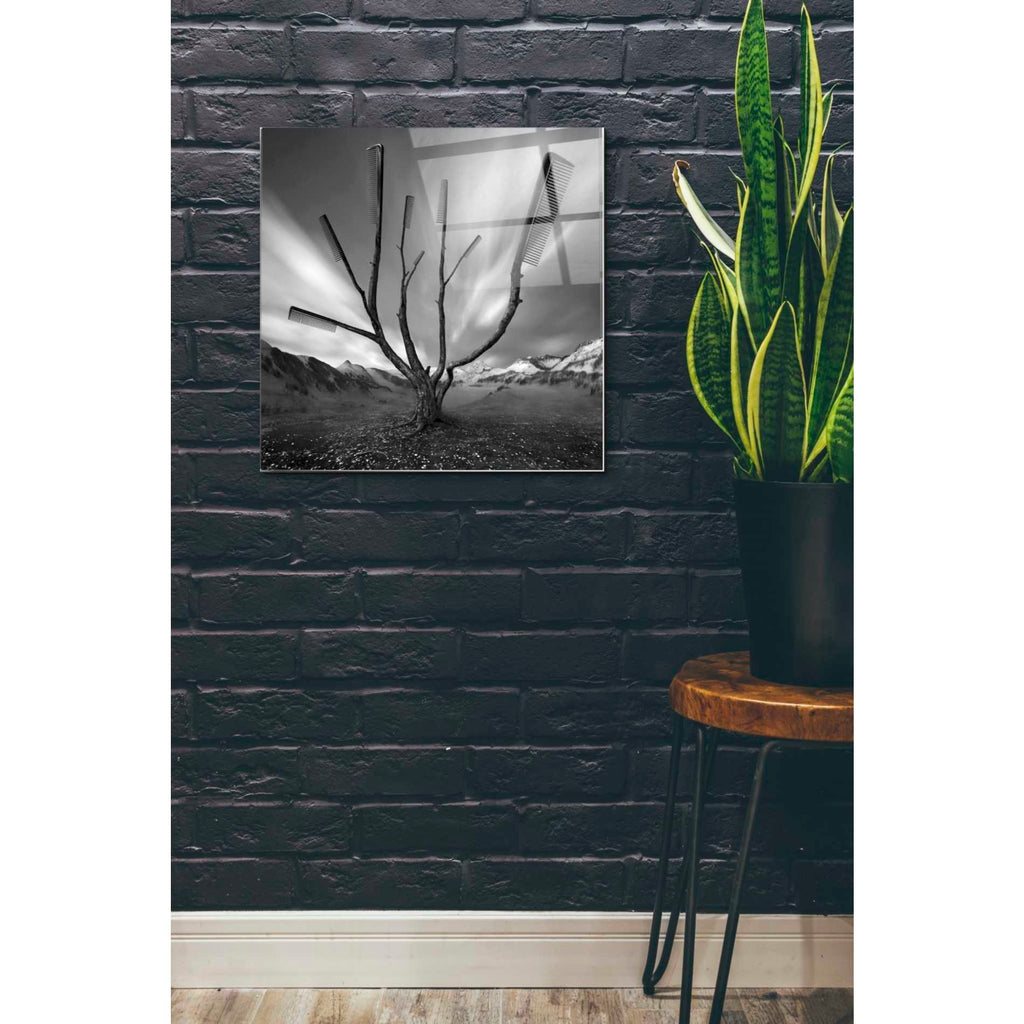 Epic Art 'Dandruff Tree' by Dariusz Klimczak, Acrylic Glass Wall Art,24x24