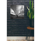Epic Art 'Dandruff Tree' by Dariusz Klimczak, Acrylic Glass Wall Art,24x24