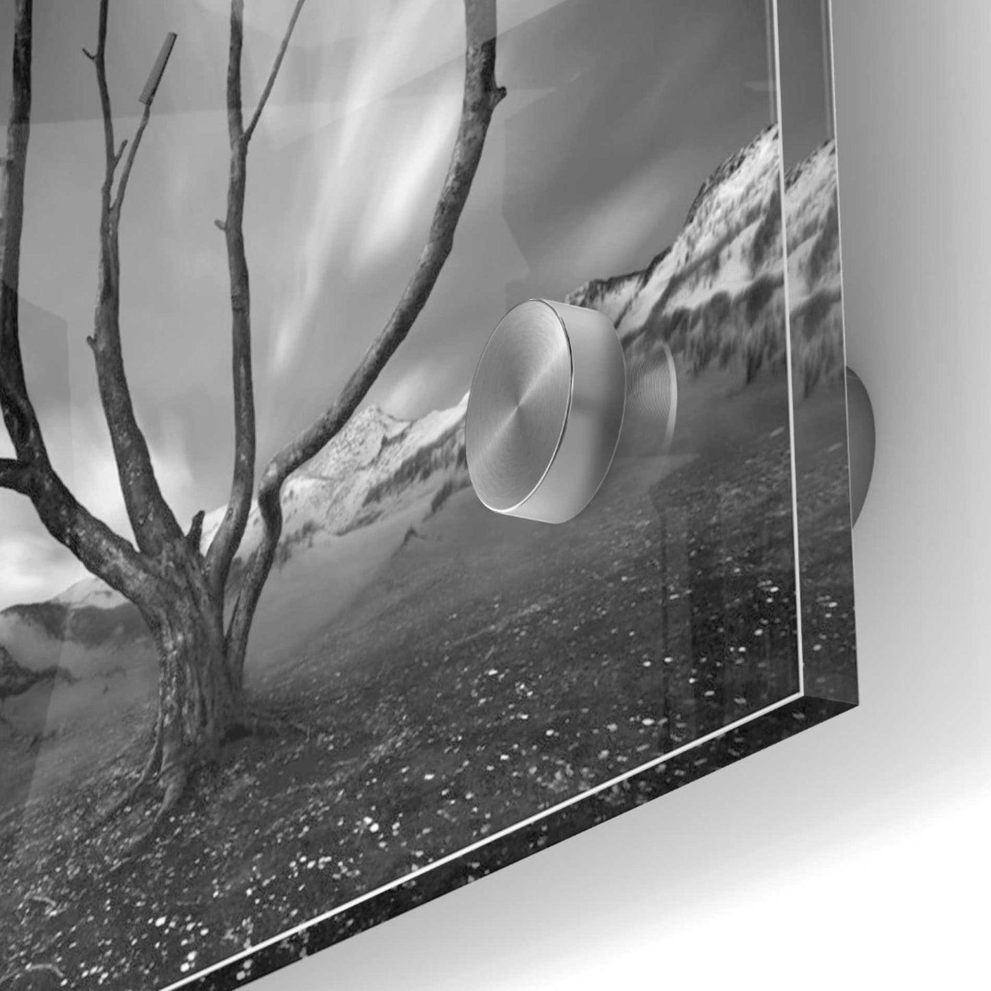 Epic Art 'Dandruff Tree' by Dariusz Klimczak, Acrylic Glass Wall Art,24x24