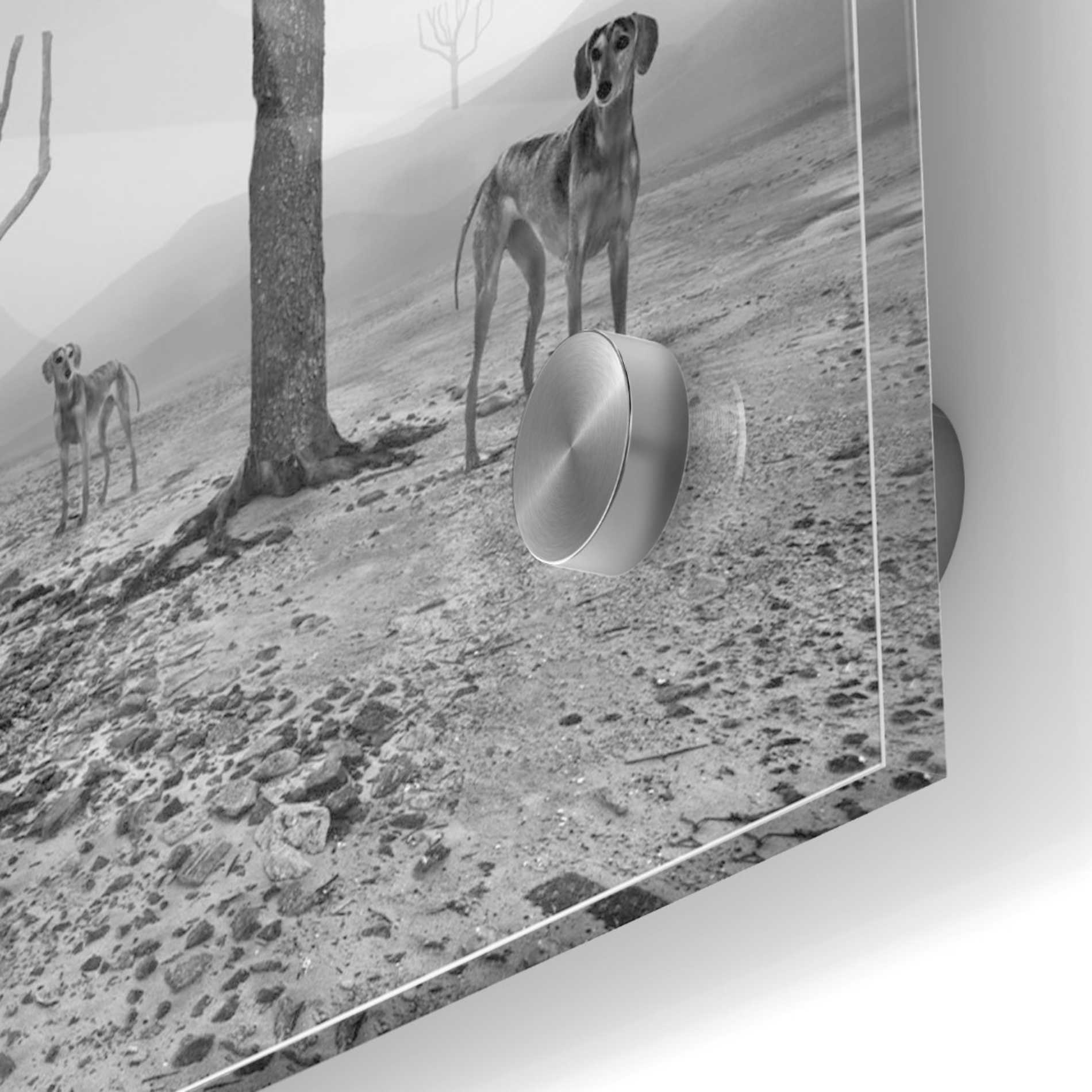 Epic Art 'Dogs in Fog' by Dariusz Klimczak, Acrylic Glass Wall Art,24x24