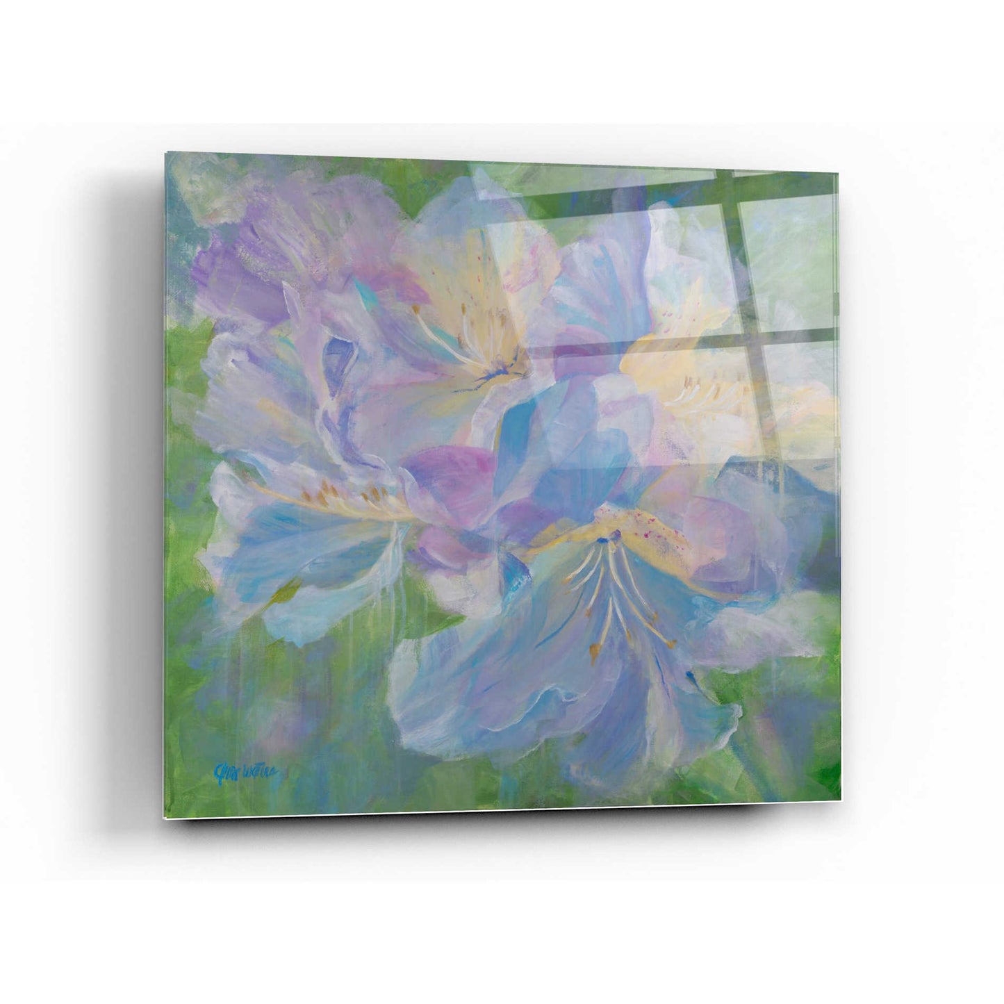 Epic Art 'Radiant Rhododendron' by Anne Waters, Acrylic Glass Wall Art,24x24