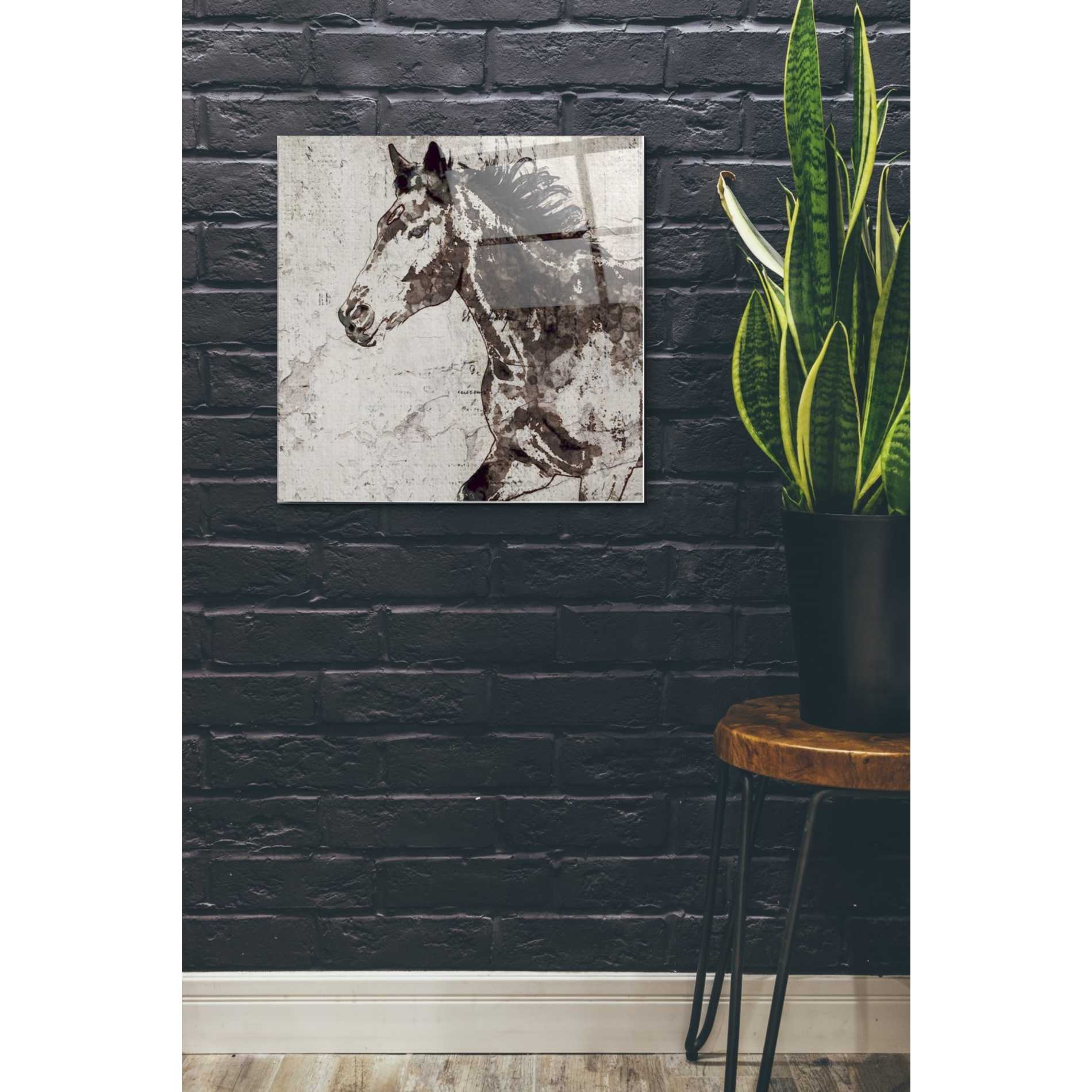 Epic Art 'Galloping Horse 2' by Irena Orlov, Acrylic Glass Wall Art,24x24