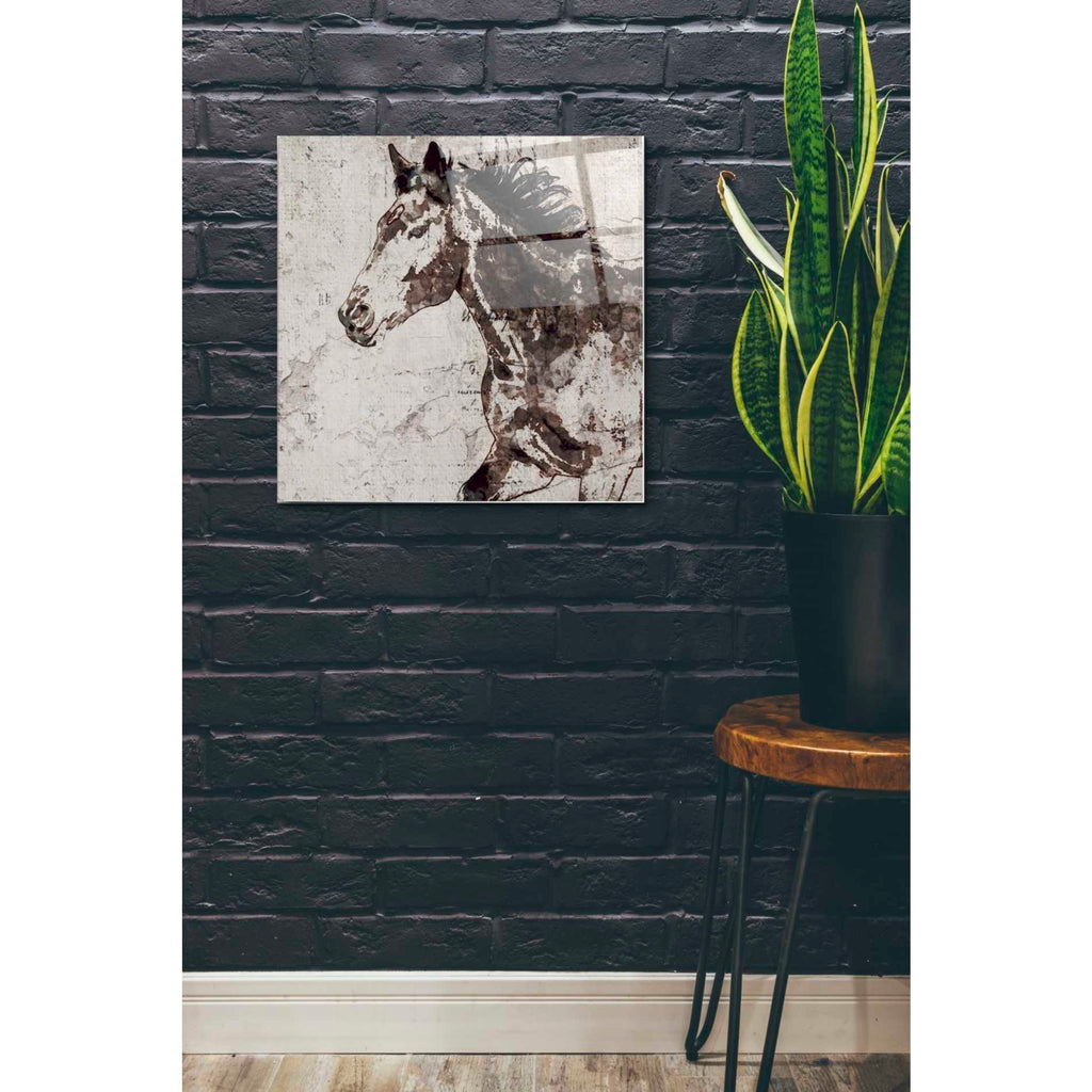Epic Art 'Galloping Horse 2' by Irena Orlov, Acrylic Glass Wall Art,24x24
