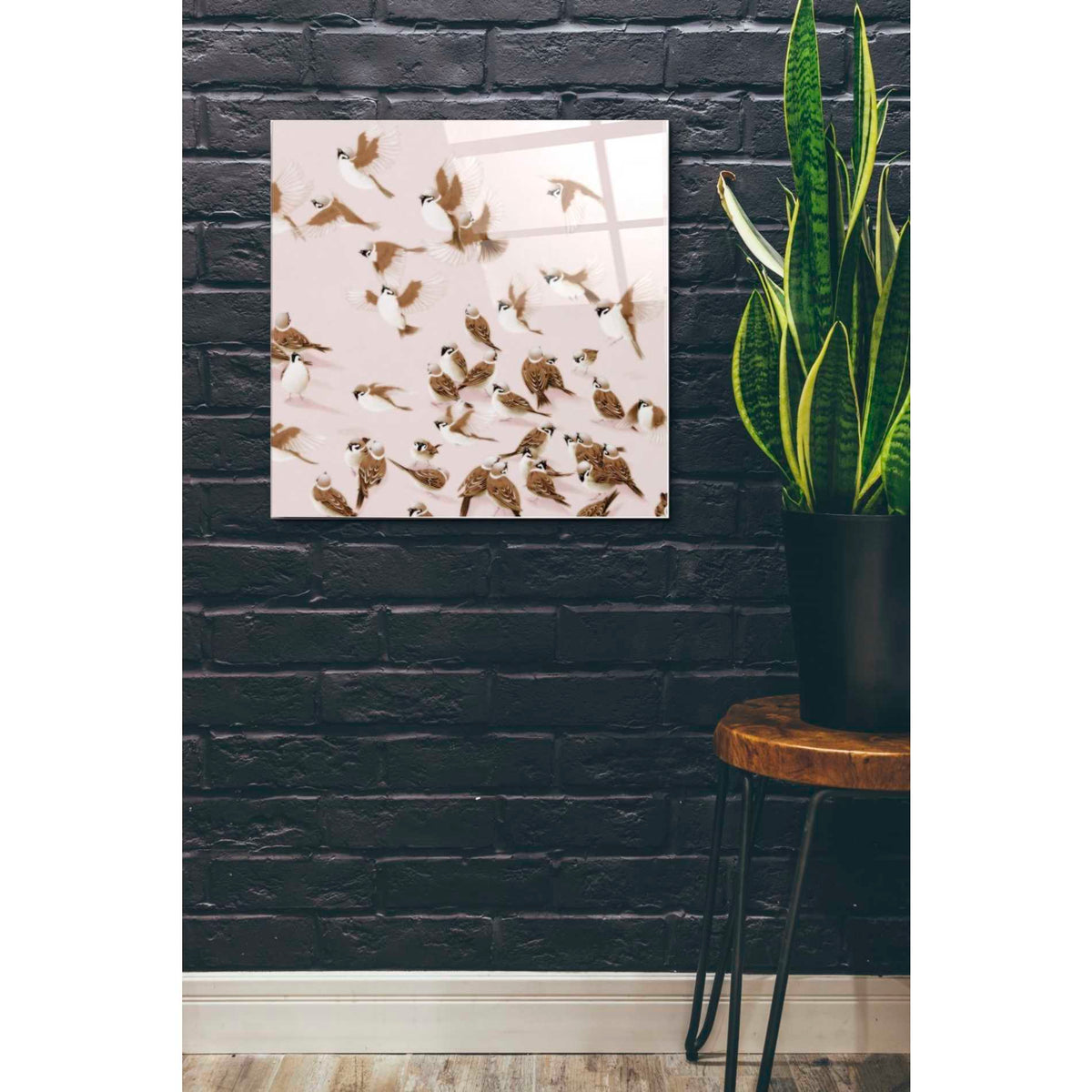 Epic Art 'Sparrow' by Zigen Tanabe, Acrylic Glass Wall Art,24x24