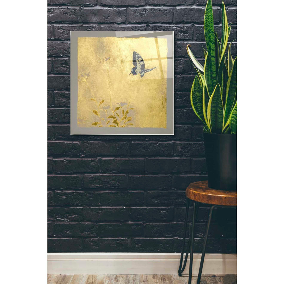 Epic Art 'Butterfly L' by Zigen Tanabe, Acrylic Glass Wall Art,24x24