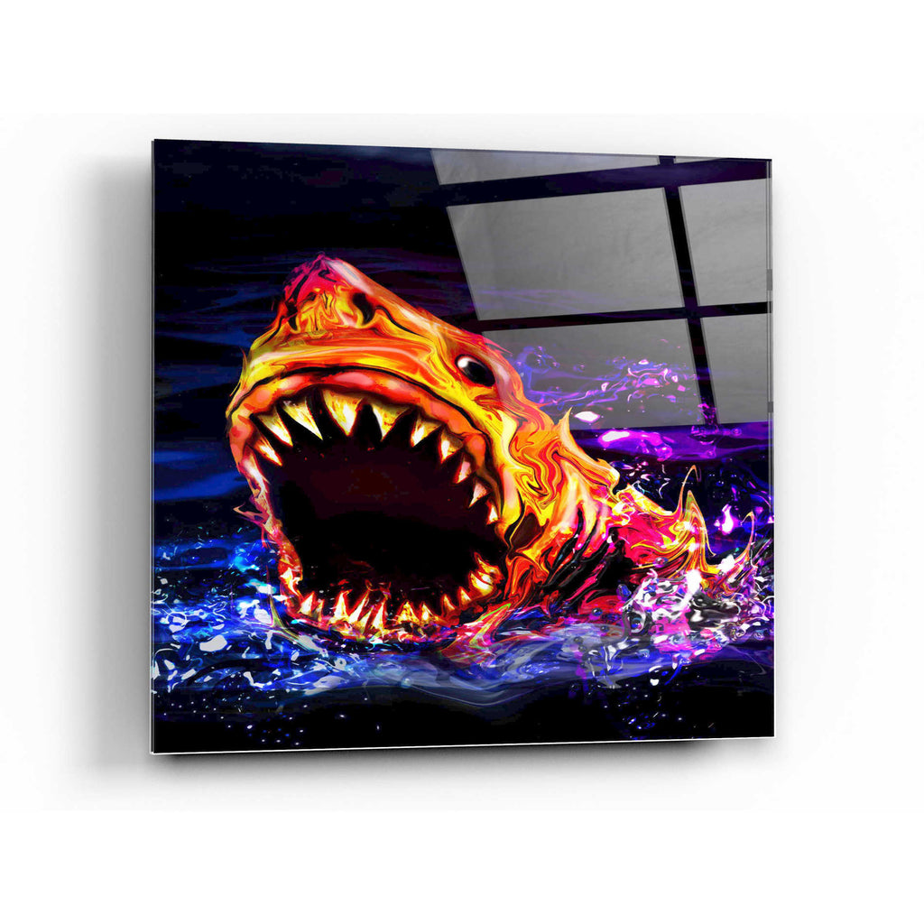 Epic Art 'Great White' by Michael Stewart, Acrylic Glass Wall Art,24x24