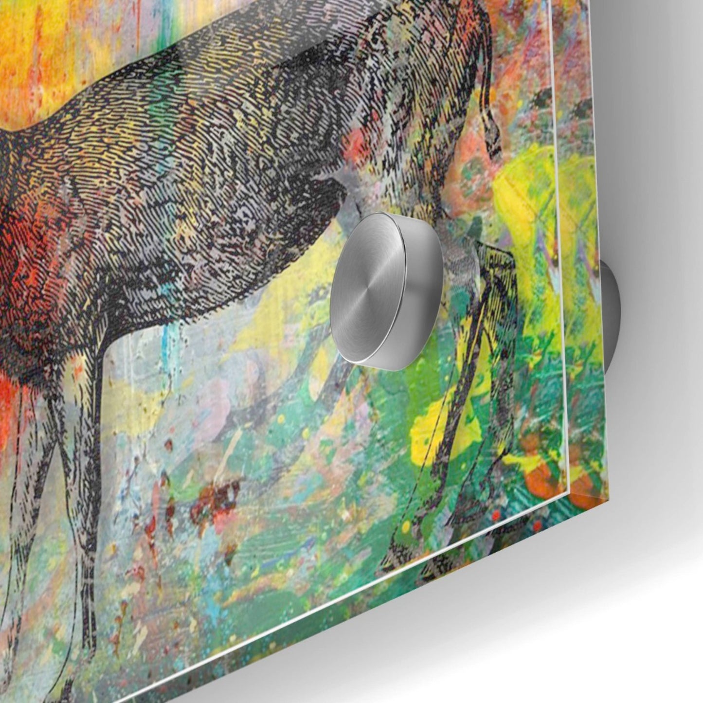 Epic Art 'Arty Beast 2' by Karen Smith, Acrylic Glass Wall Art,24x24