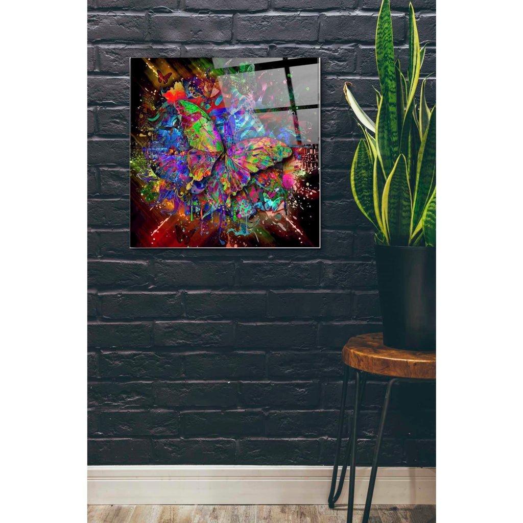Epic Art 'Monarch' Acrylic Glass Wall Art,24x24