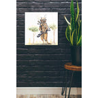 Epic Art 'Meerkat' by Craig Snodgrass, Acrylic Glass Wall Art,24x24