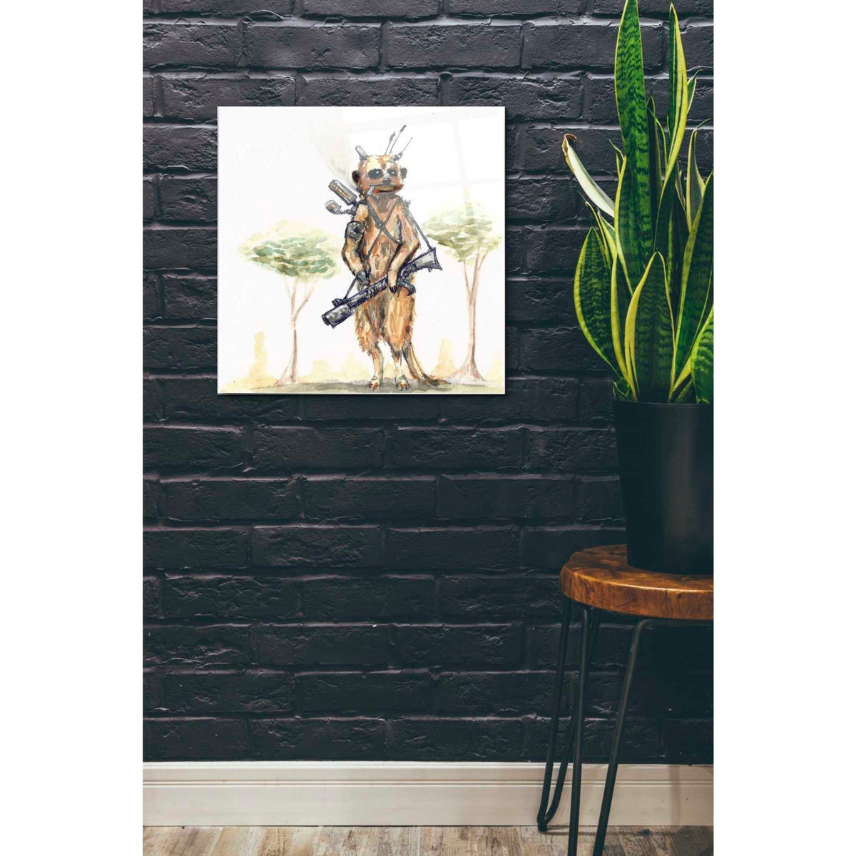 Epic Art 'Meerkat' by Craig Snodgrass, Acrylic Glass Wall Art,24x24