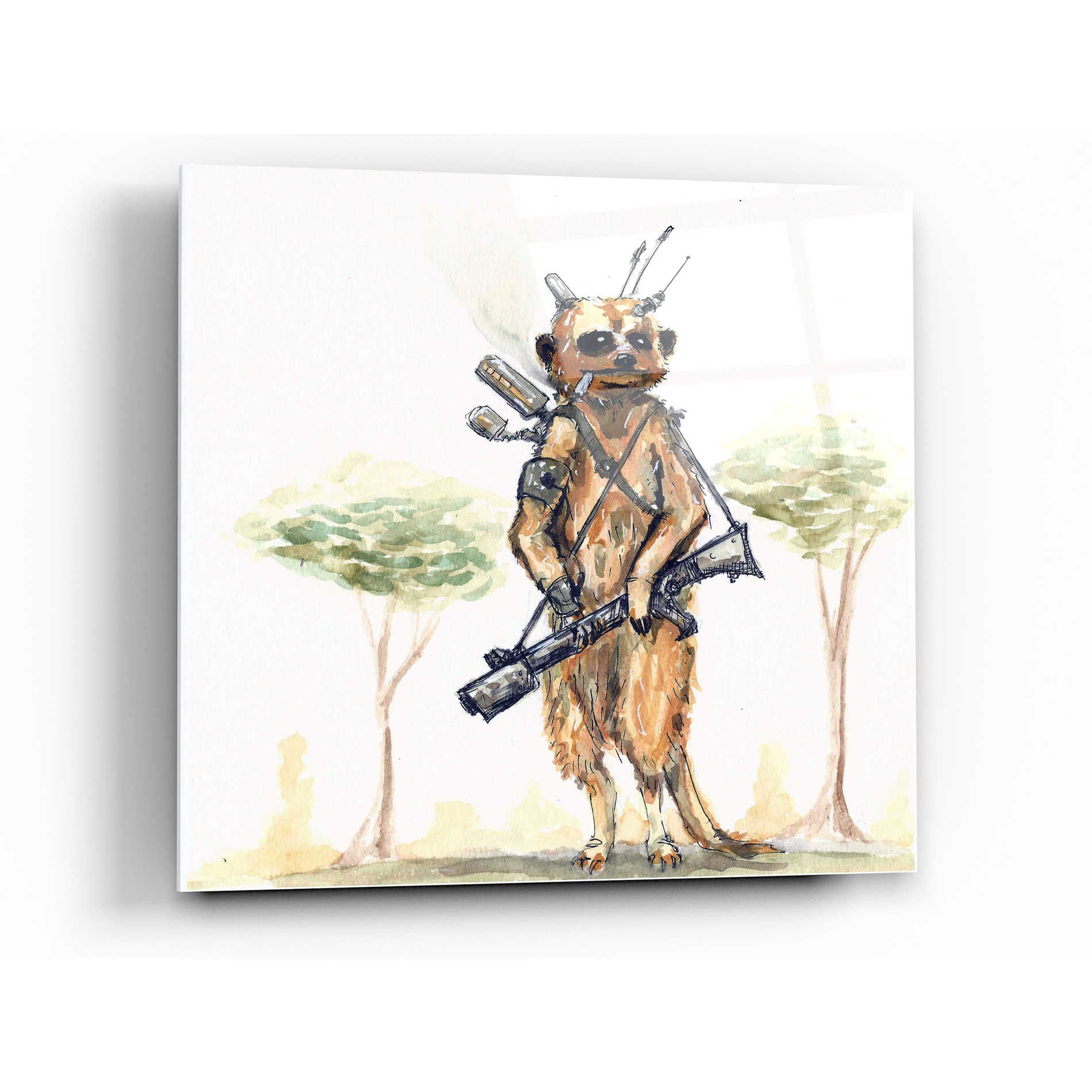 Epic Art 'Meerkat' by Craig Snodgrass, Acrylic Glass Wall Art,24x24