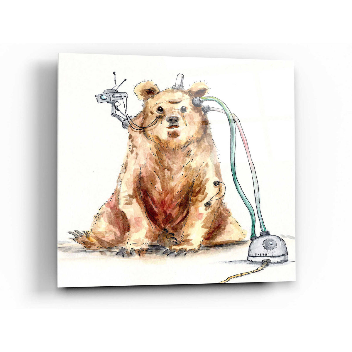 Epic Art 'Ruxpin' by Craig Snodgrass, Acrylic Glass Wall Art,24x24