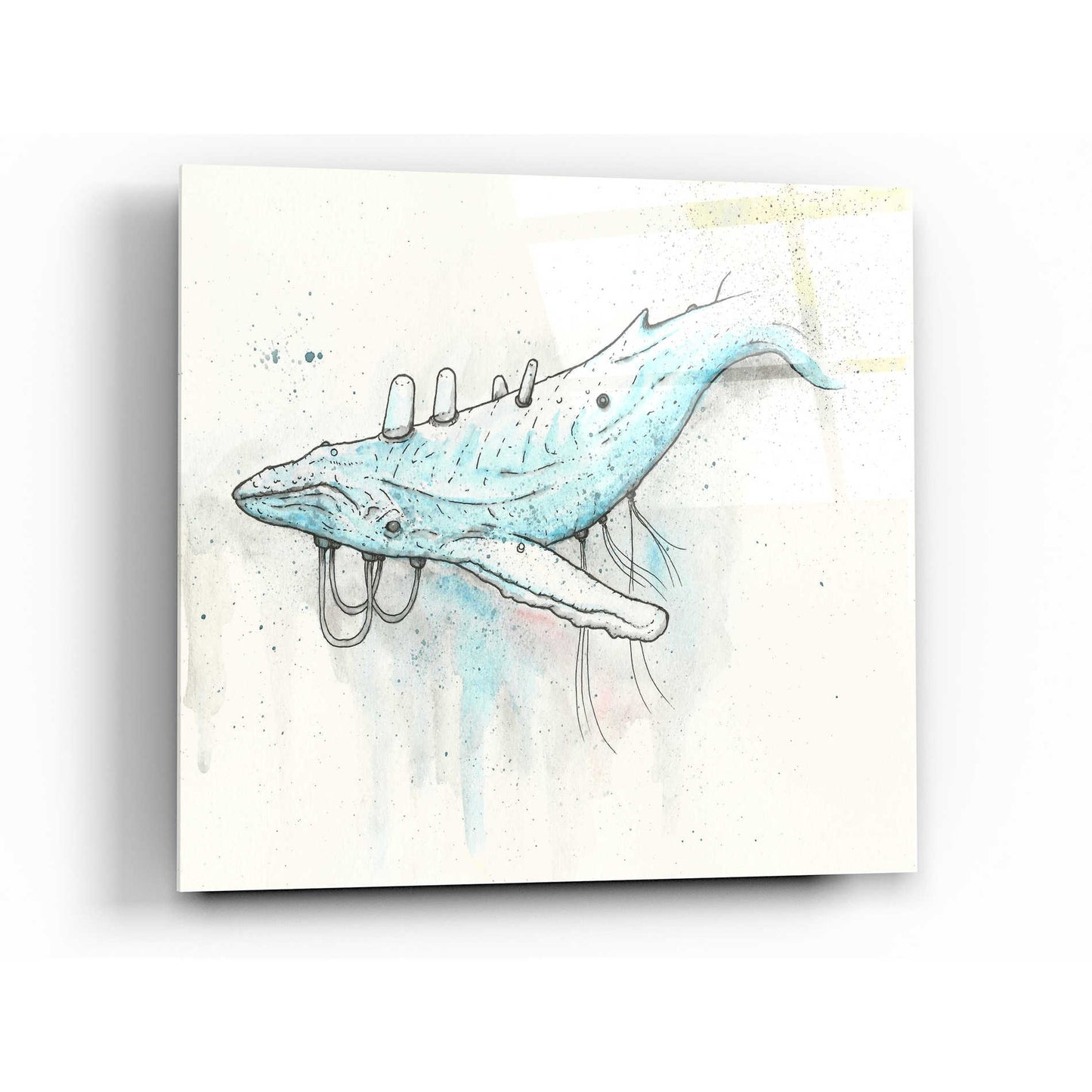 Epic Art 'Whale' by Craig Snodgrass, Acrylic Glass Wall Art,24x24