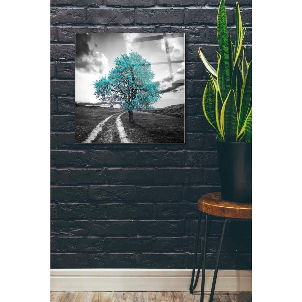 Epic Art 'Vibrant Tree Series: Cyan' Acrylic Glass Wall Art,24x24