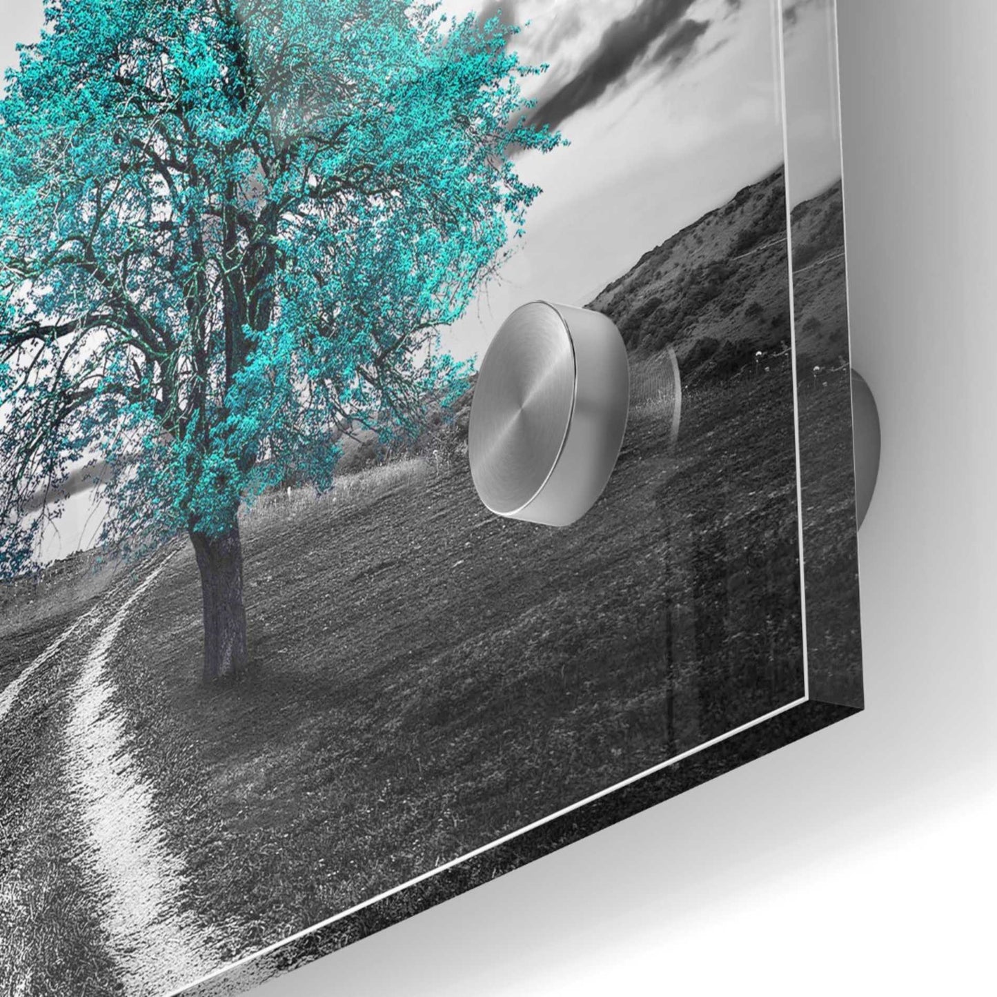 Epic Art 'Vibrant Tree Series: Cyan' Acrylic Glass Wall Art,24x24