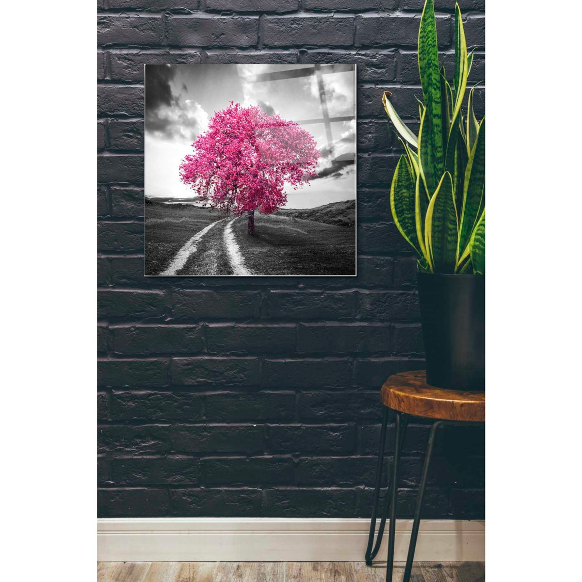 Epic Art 'Vibrant Tree Series: Magenta' Acrylic Glass Wall Art,24x24