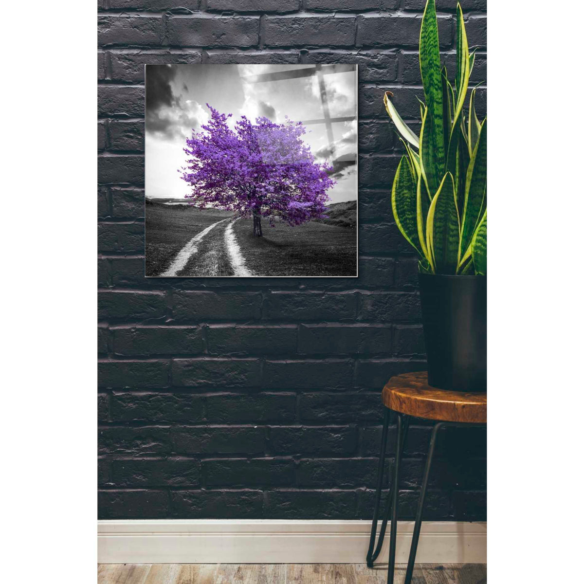 Epic Art 'Vibrant Tree Series: Amethyst' Acrylic Glass Wall Art,24x24