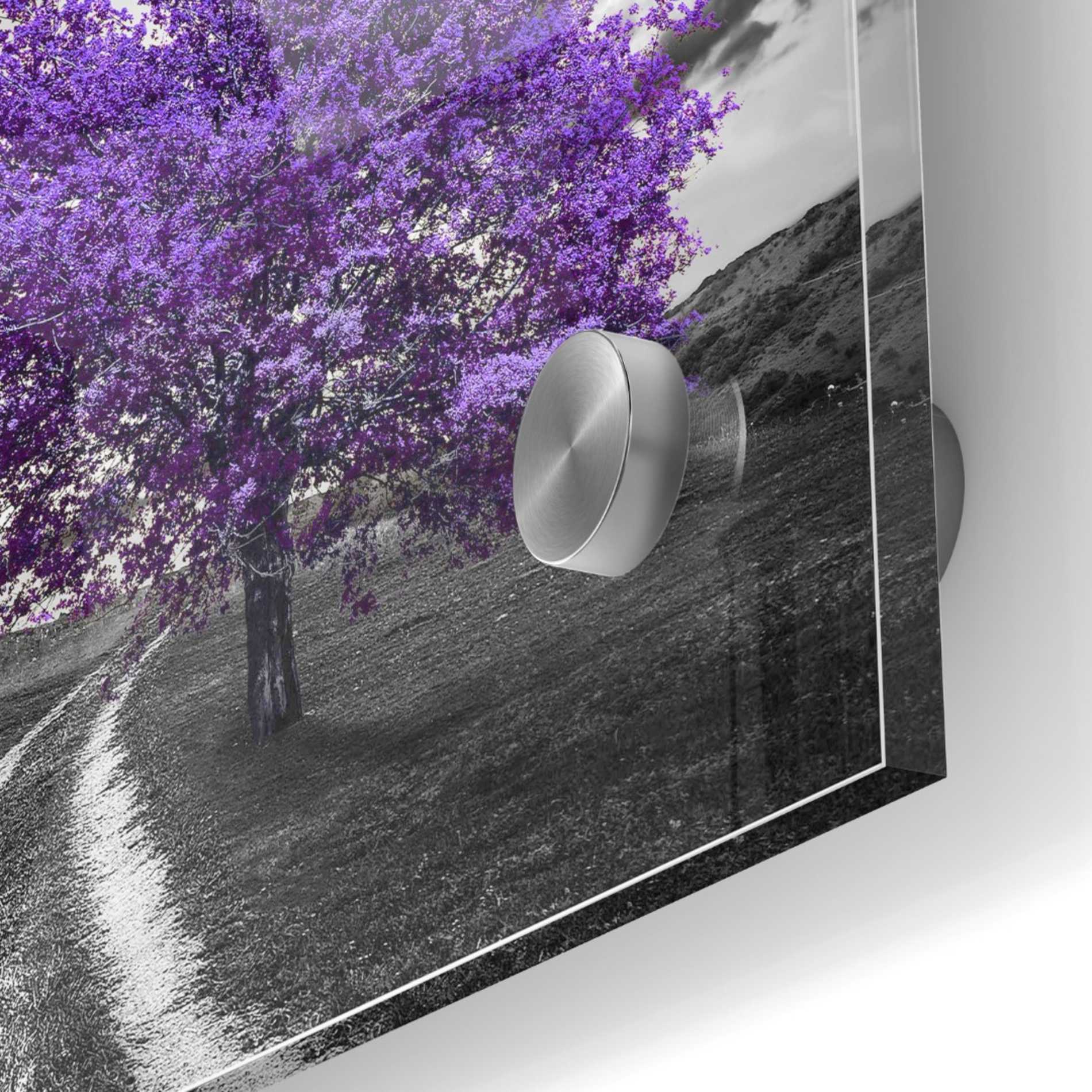 Epic Art 'Vibrant Tree Series: Amethyst' Acrylic Glass Wall Art,24x24