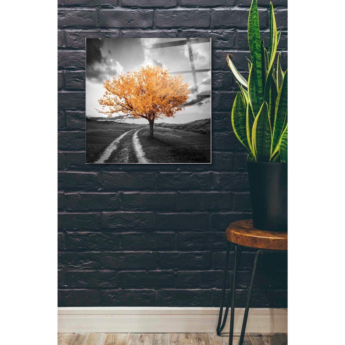 Epic Art 'Vibrant Tree Series: Autumn' Acrylic Glass Wall Art,24x24