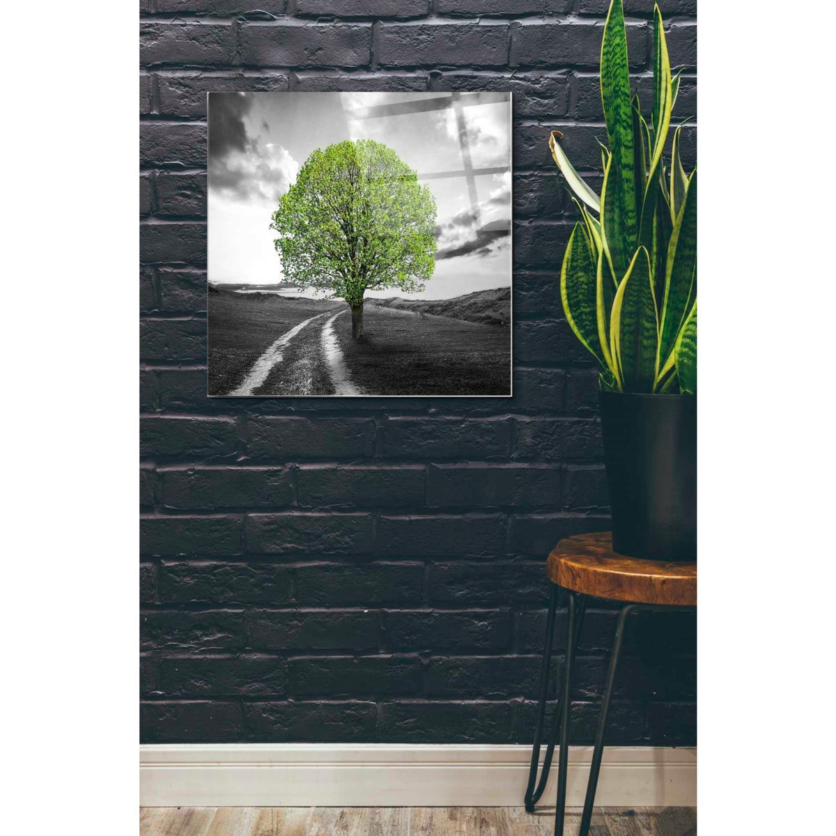 Epic Art 'Vibrant Tree Series: Green' Acrylic Glass Wall Art,24x24