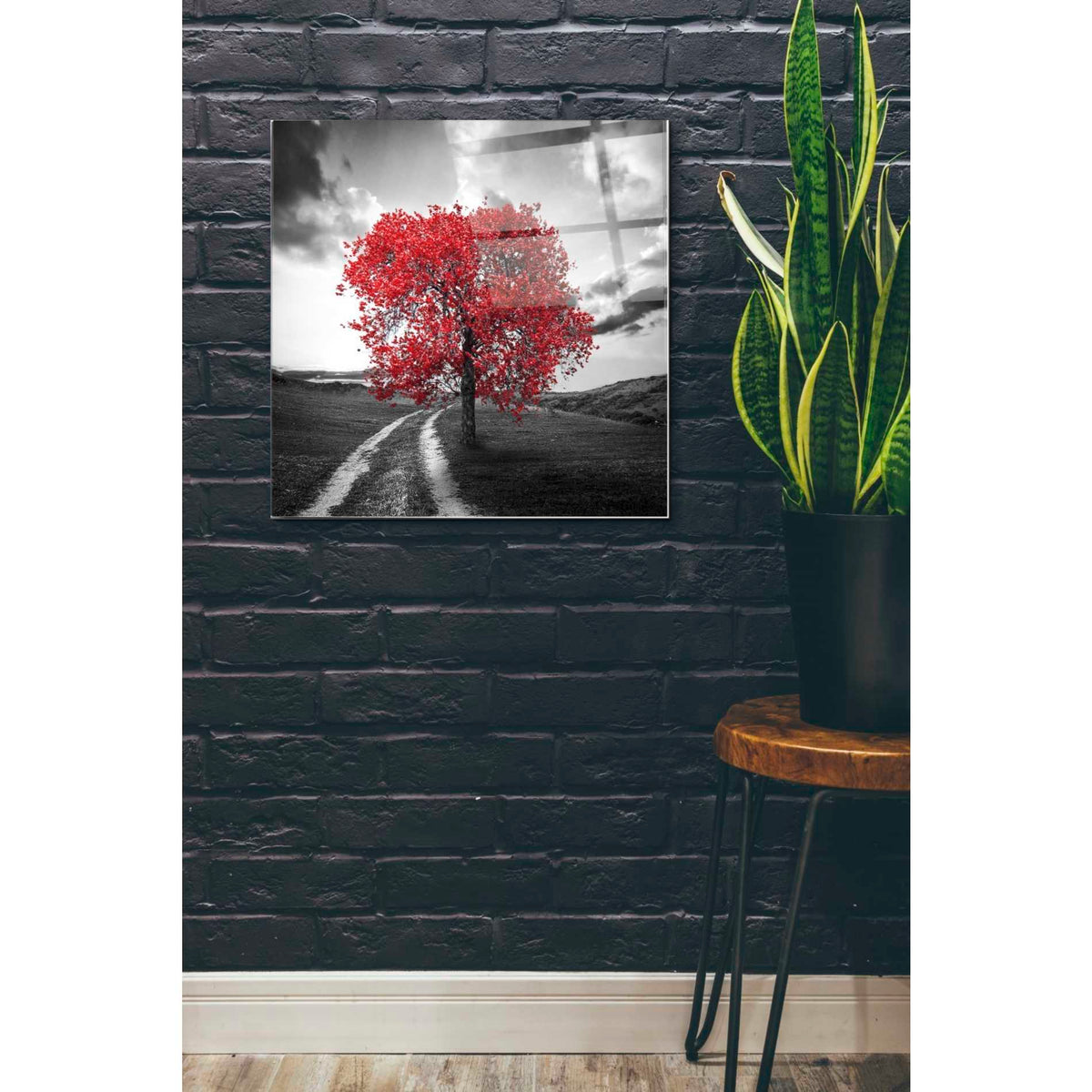 Epic Art 'Vibrant Tree Series: Ruby' Acrylic Glass Wall Art,24x24