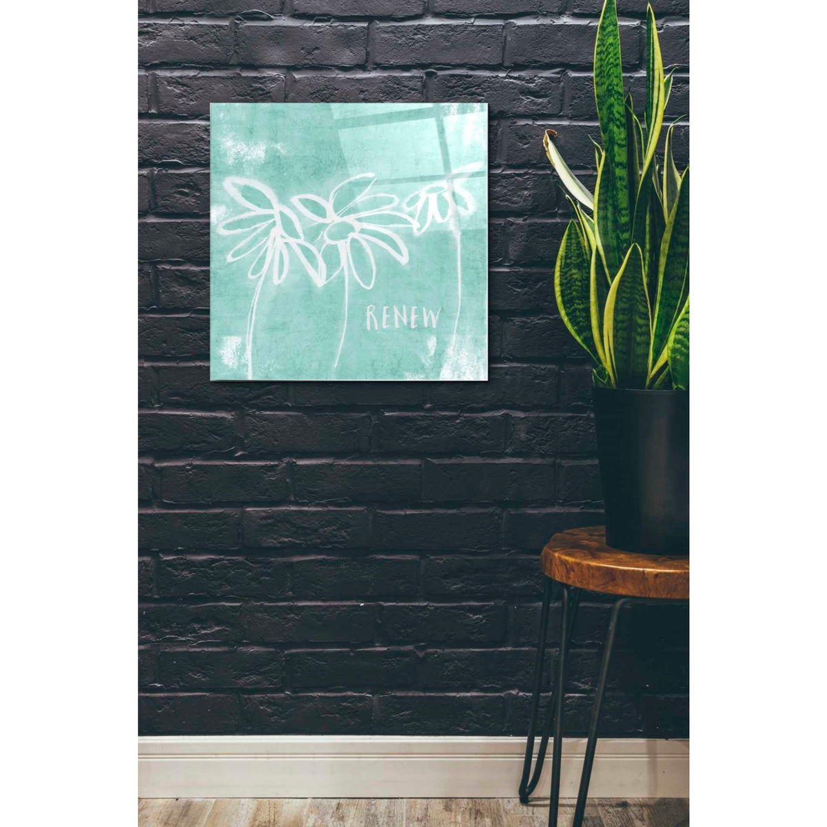 Epic Art 'Renew Mint' by Linda Woods, Acrylic Glass Wall Art,24x24