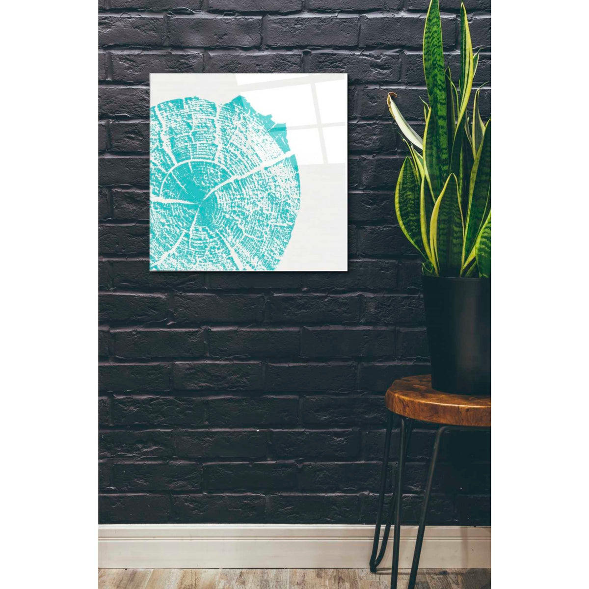 Epic Art 'Aqua Slice' by Linda Woods, Acrylic Glass Wall Art,24x24