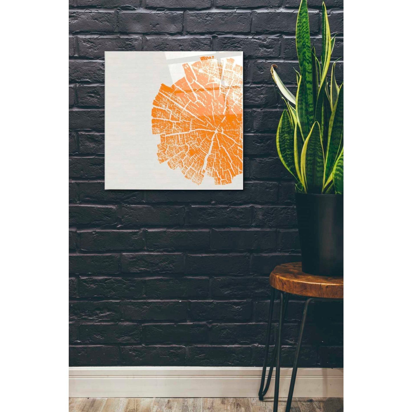Epic Art 'Orange Slice' by Linda Woods, Acrylic Glass Wall Art,24x24
