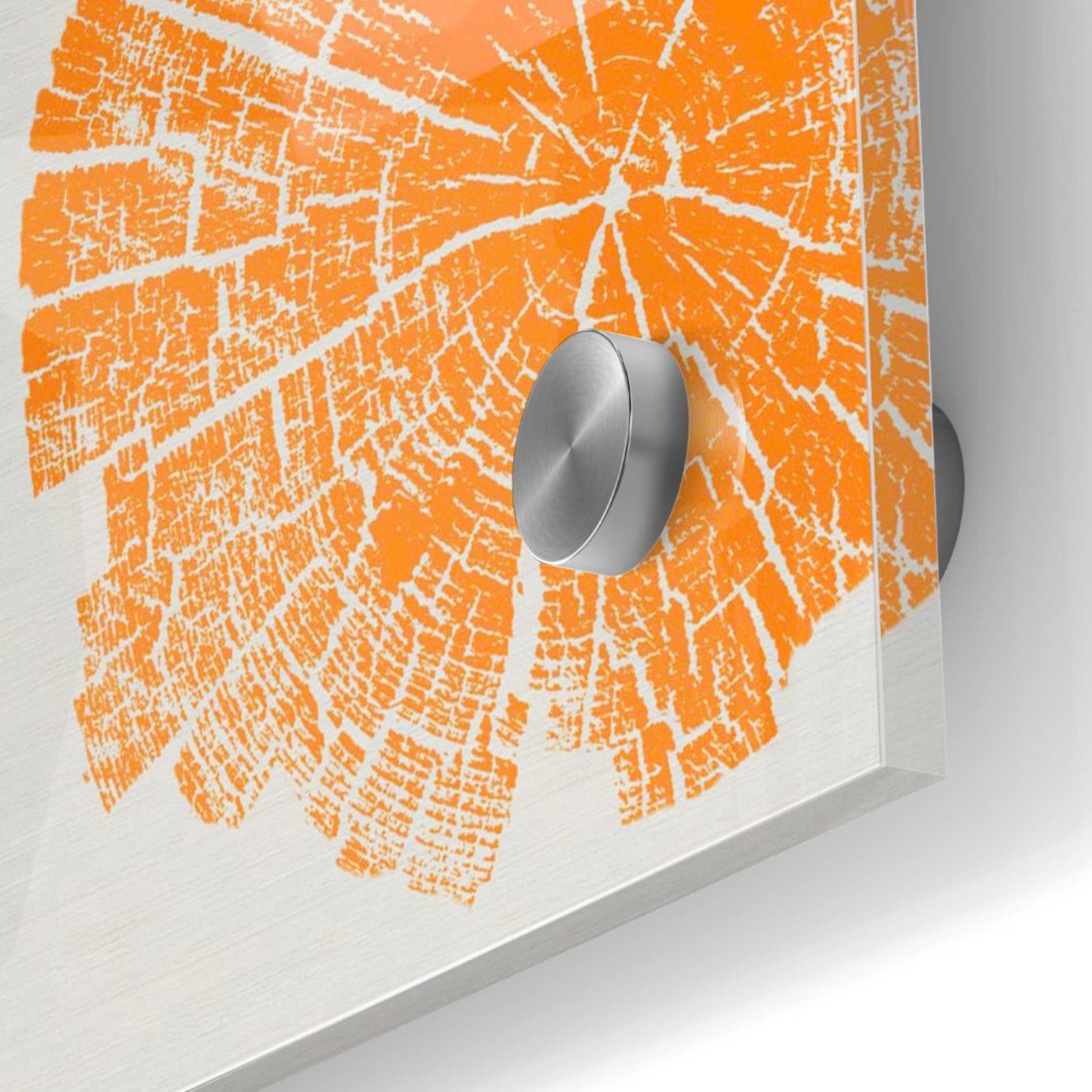 Epic Art 'Orange Slice' by Linda Woods, Acrylic Glass Wall Art,24x24