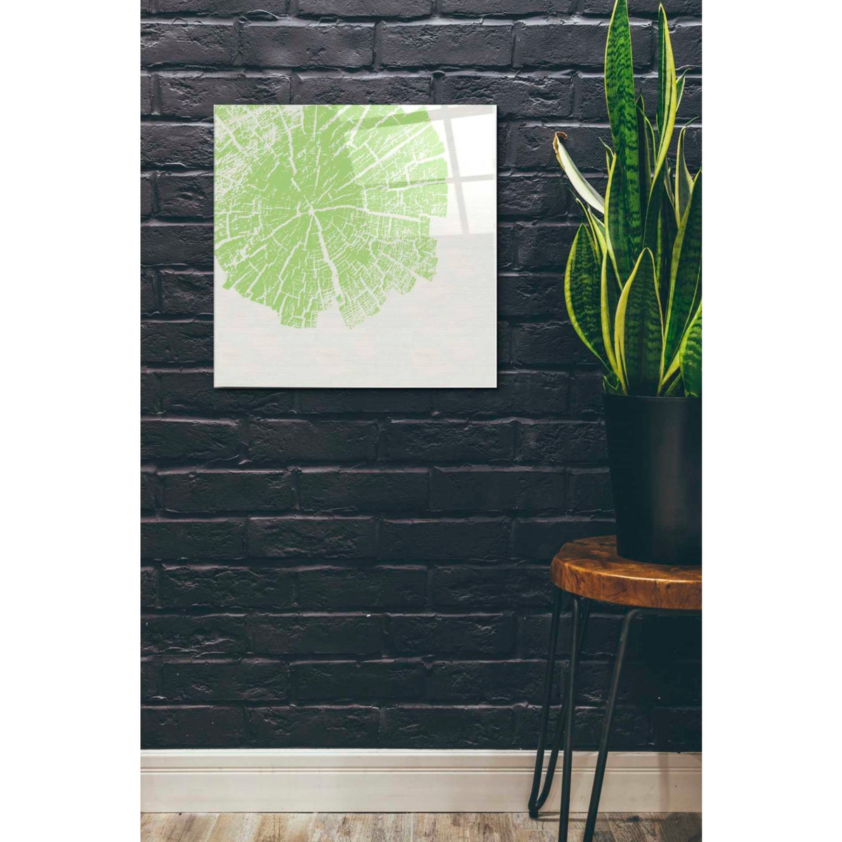 Epic Art 'Lime Slice' by Linda Woods, Acrylic Glass Wall Art,24x24