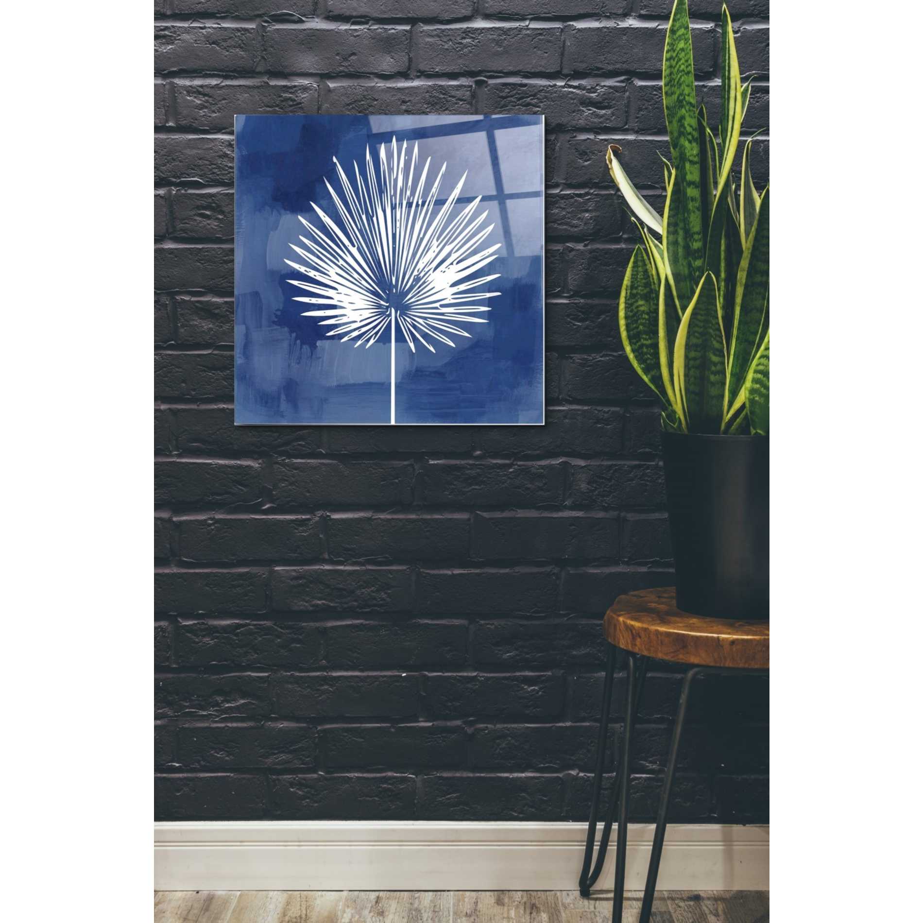 Epic Art 'Painted Sky Palm Leaf' by Linda Woods, Acrylic Glass Wall Art,24x24
