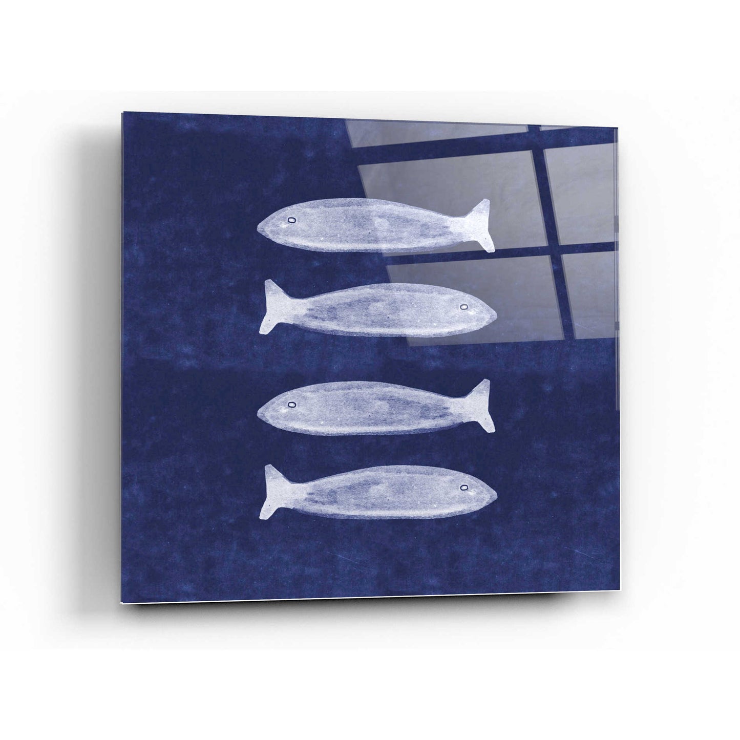 Epic Art 'Indigo Fish' by Linda Woods, Acrylic Glass Wall Art,24x24