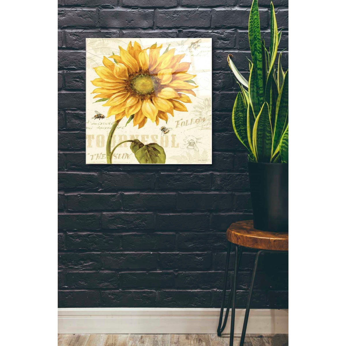 Epic Art 'Under The Sun I' by Lisa Audit, Acrylic Glass Wall Art,24x24