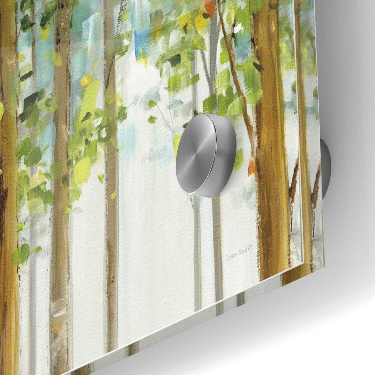 Epic Art 'Forest Study II' by Lisa Audit, Acrylic Glass Wall Art,24x24