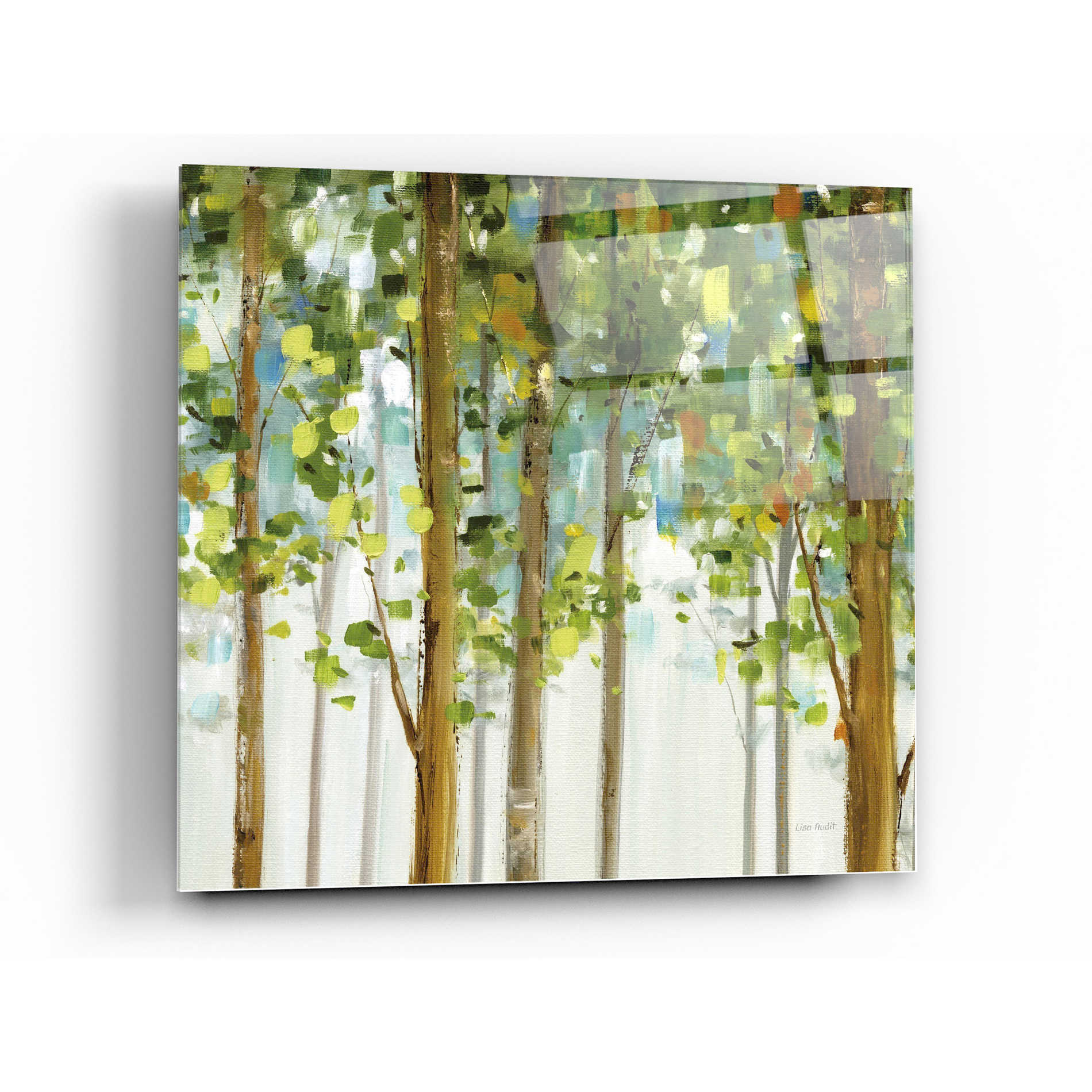 Epic Art 'Forest Study II' by Lisa Audit, Acrylic Glass Wall Art,24x24