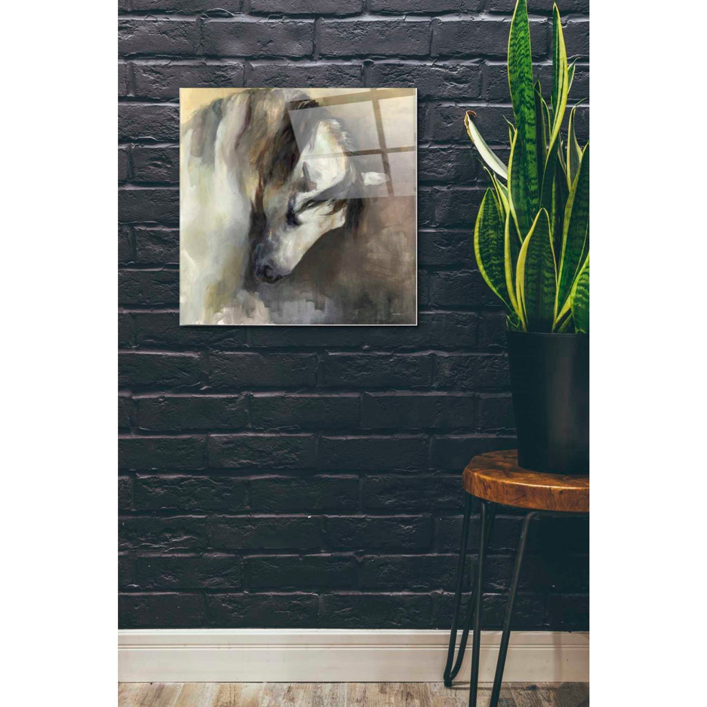 Epic Art 'Classical Horse' by Marilyn Hageman, Acrylic Glass Wall Art,24x24