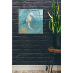 Epic Art 'Treasures From The Sea I' by Danhui Nai, Acrylic Glass Wall Art,24x24