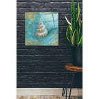 Epic Art 'Treasures From The Sea II' by Danhui Nai, Acrylic Glass Wall Art,24x24