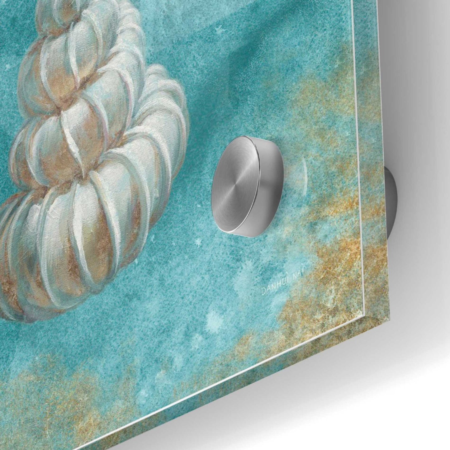 Epic Art 'Treasures From The Sea II' by Danhui Nai, Acrylic Glass Wall Art,24x24