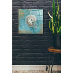 Epic Art 'Treasures From The Sea III' by Danhui Nai, Acrylic Glass Wall Art,24x24