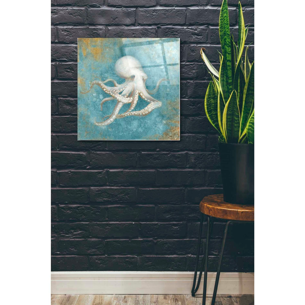 Epic Art 'Treasures From The Sea V' by Danhui Nai, Acrylic Glass Wall Art,24x24