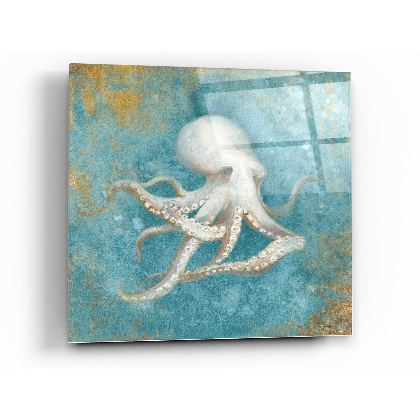 Epic Art 'Treasures From The Sea V' by Danhui Nai, Acrylic Glass Wall Art,24x24