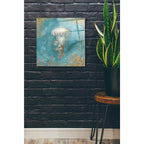 Epic Art 'Treasures From The Sea VI' by Danhui Nai, Acrylic Glass Wall Art,24x24
