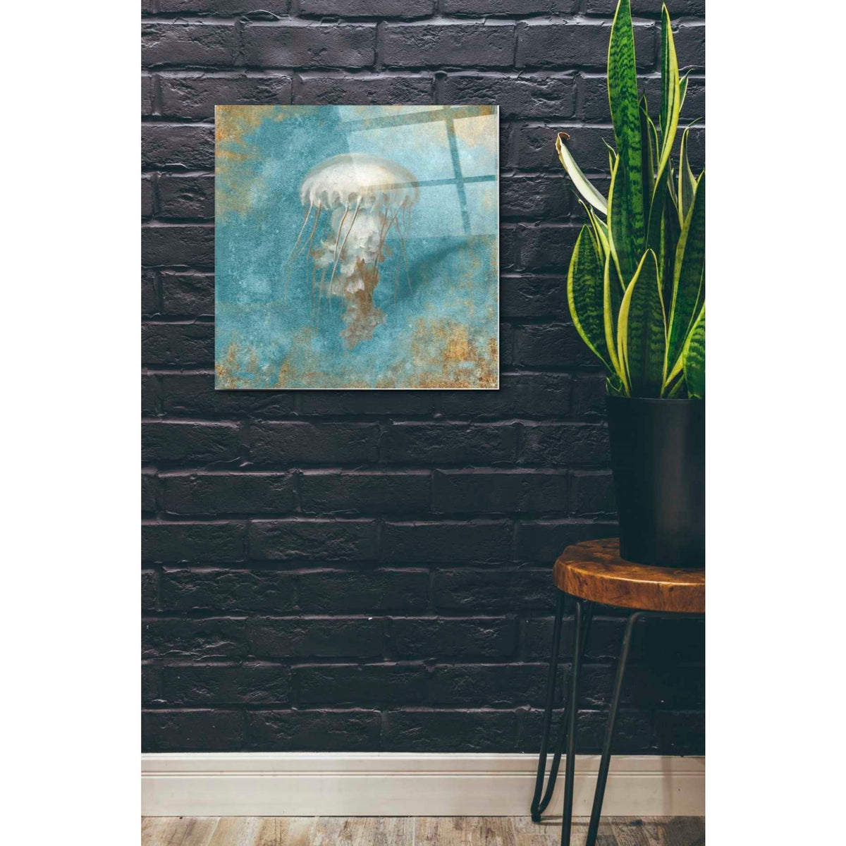 Epic Art 'Treasures From The Sea VI' by Danhui Nai, Acrylic Glass Wall Art,24x24
