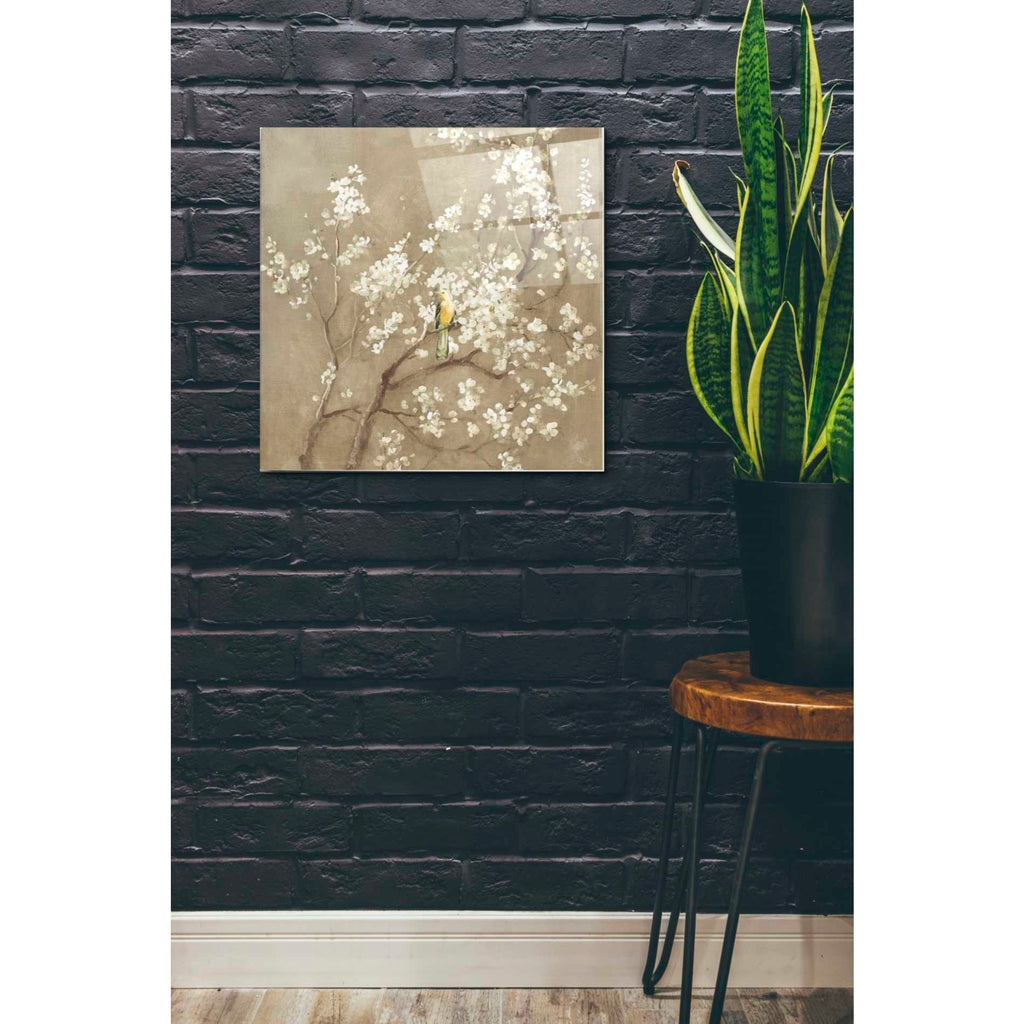 Epic Art 'White Cherry Blossom I Neutral' by Danhui Nai, Acrylic Glass Wall Art,24x24