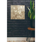 Epic Art 'White Cherry Blossom I Neutral' by Danhui Nai, Acrylic Glass Wall Art,24x24